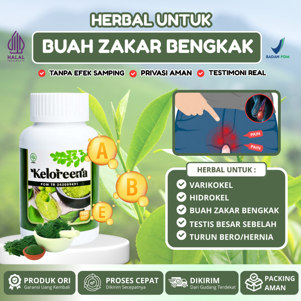 Obat Varikokel, Buah Zakar Bengkak Sebelah, Hidrokel, Testis bengkak, Sakit Varises Buah zakar