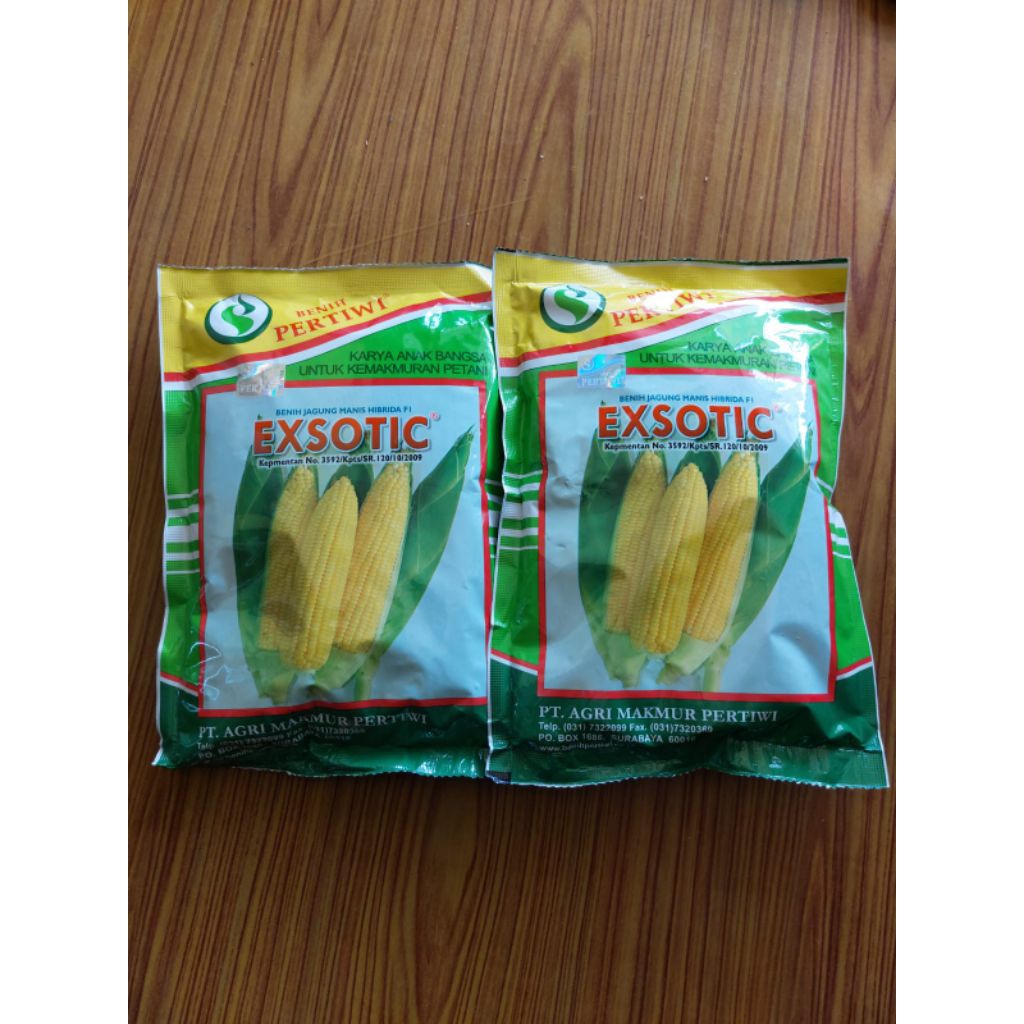 EXSOTIC/BENIH JAGUNG MANIS HIBRIDA FI