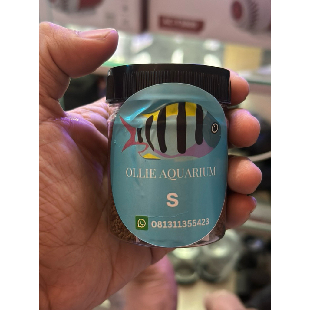 pelet ikan hias laut pakan ikan laut sinking tenggelam