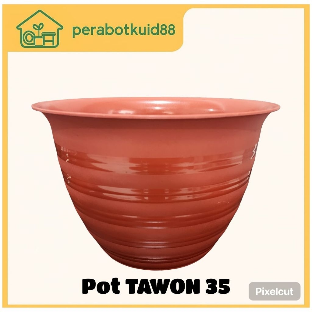 Pot Tawon 30