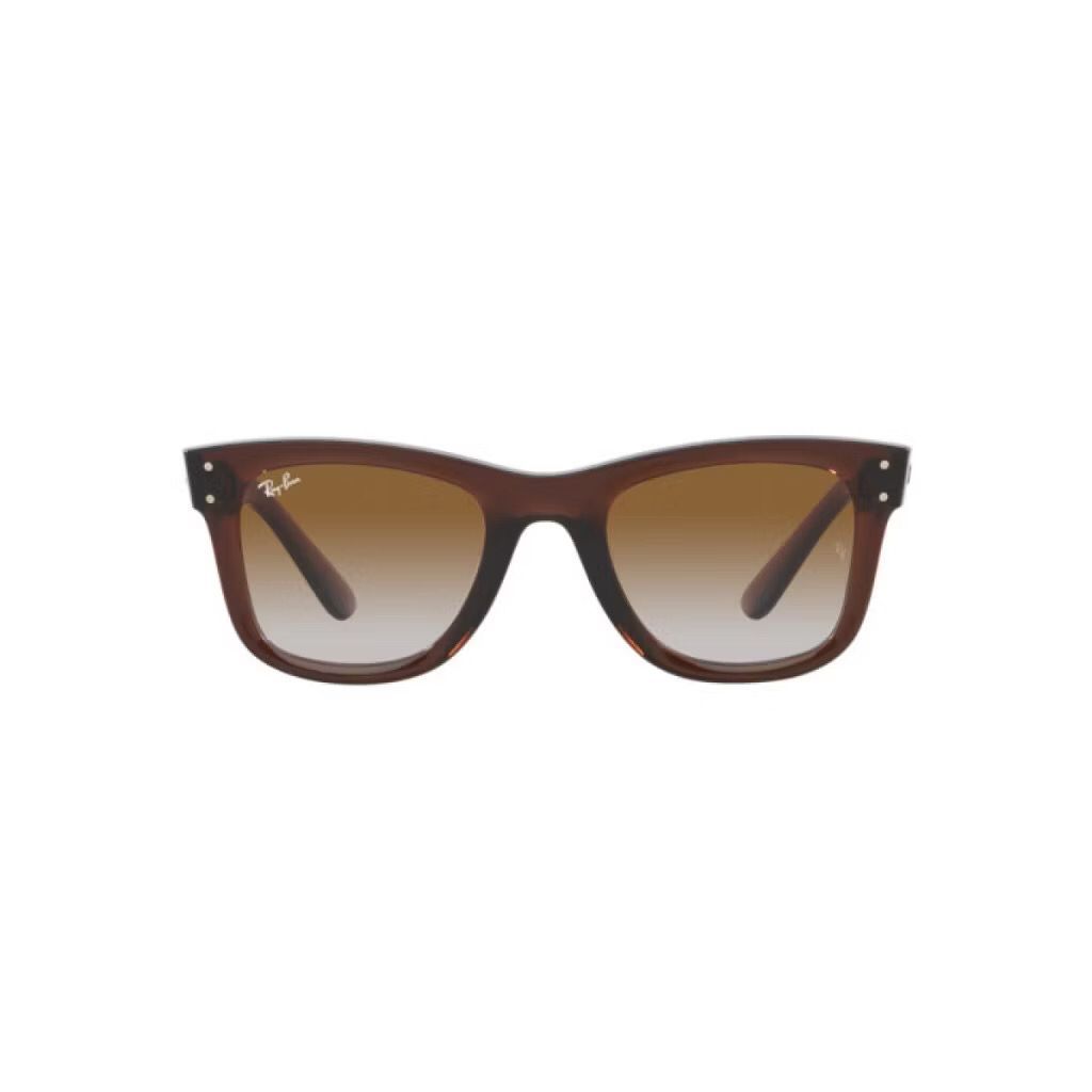 KACAMATA RayBan Wayfarer Reverse RB R0502S 6709/CB Brown Original
