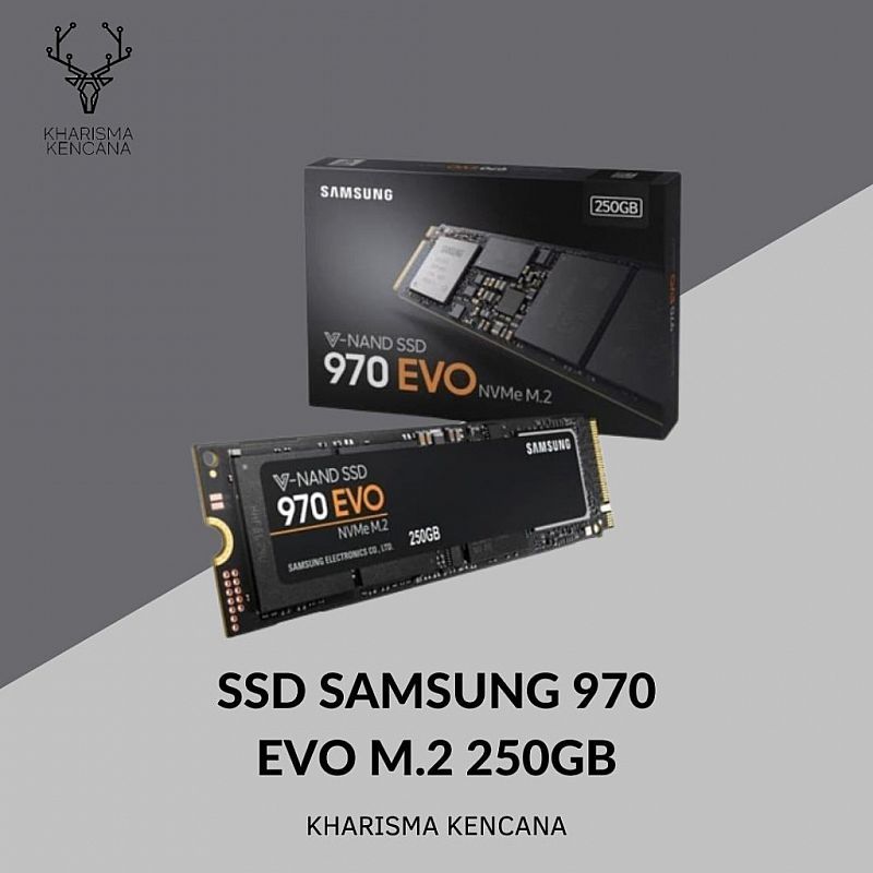 SAMSUNG NVME 970 EVO PLUS SSD 250GB