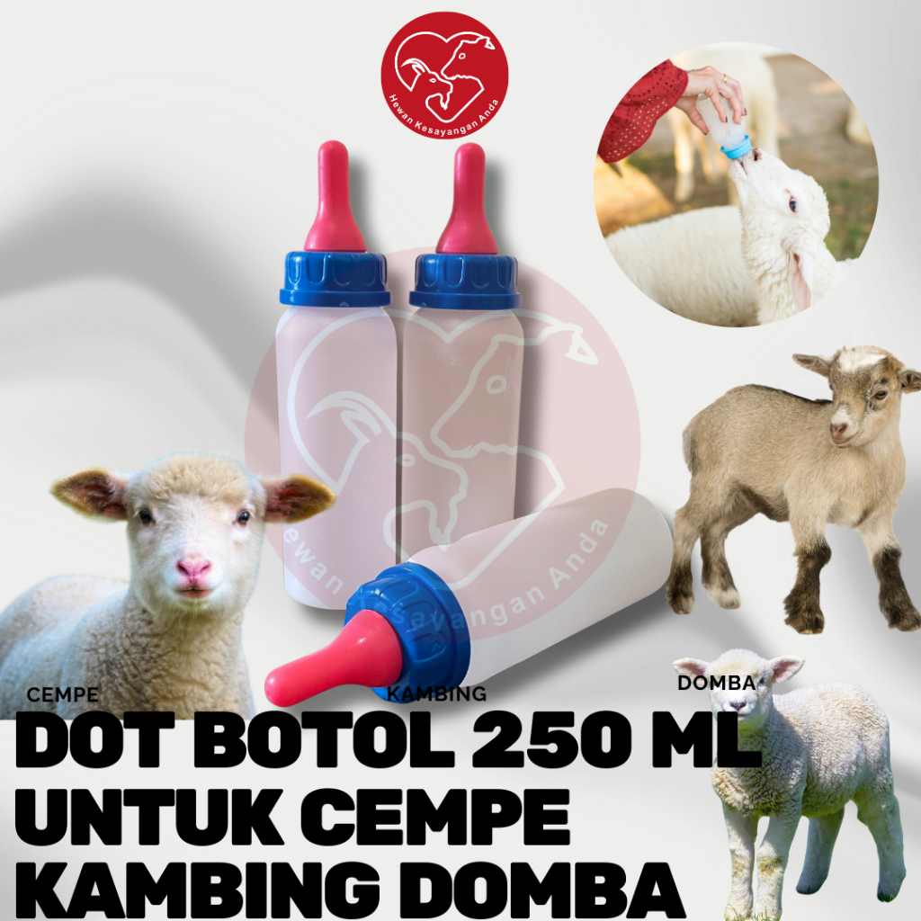 DOT CEMPE BOTOL DOT KAMBING PUTIH BIRU BOTOL SUSU KAMBING BOTOL SUSU LENGKAP DENGAN DOT