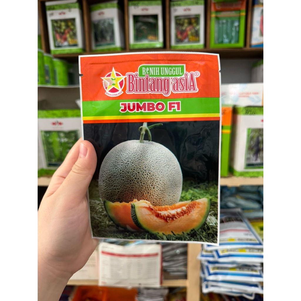 Jumbo F1 bibit melon