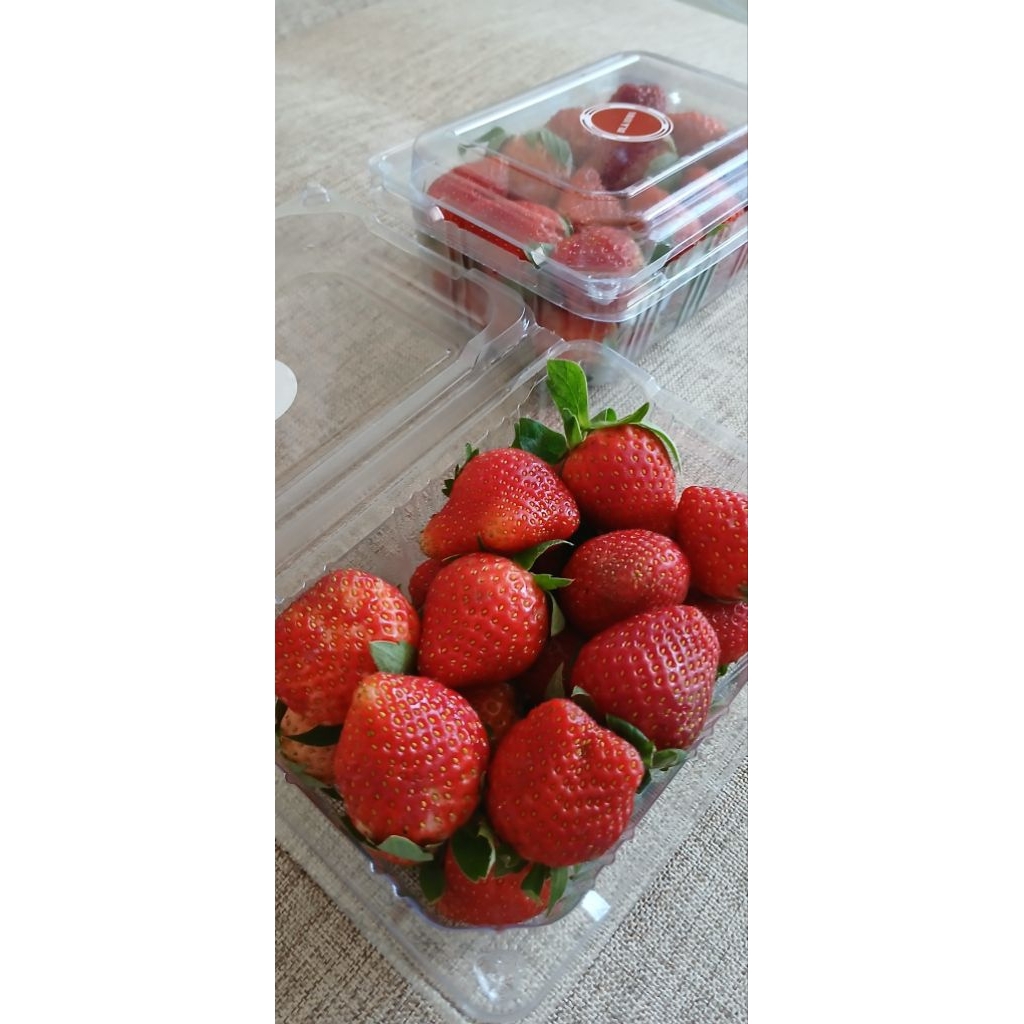 Strawberry Lembang Fresh
