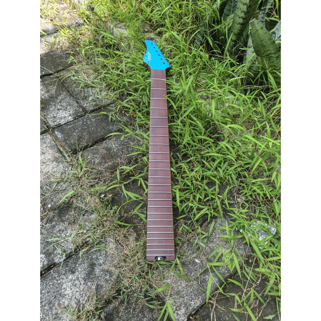 Neck Gitar Elektrik Schecter AM6
