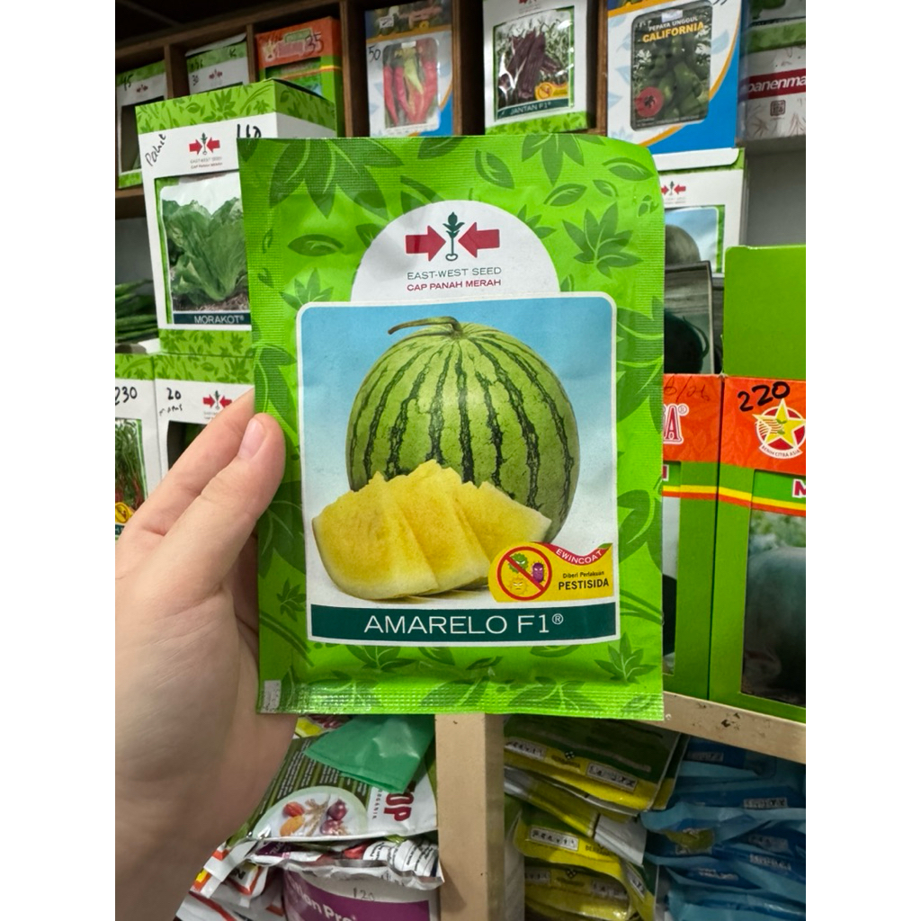 Amarelo F1 360 btr bibit semangka kuning cap panah merah