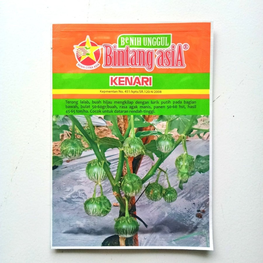 Bibit Terong Lalap Kenari Hijau F1 - Benih Terong Bulat Tahan Virus