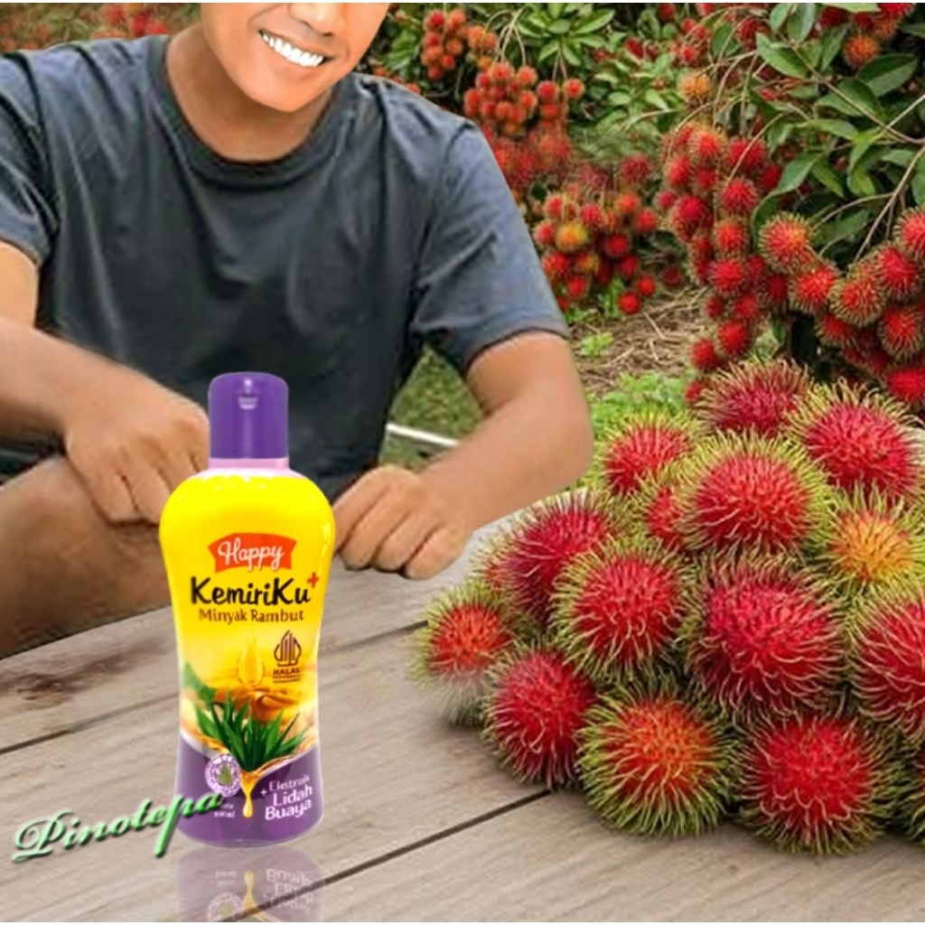 MINYAK RAMBUT KEMIRIKU "EXSTAK LIDAH BUAYA"