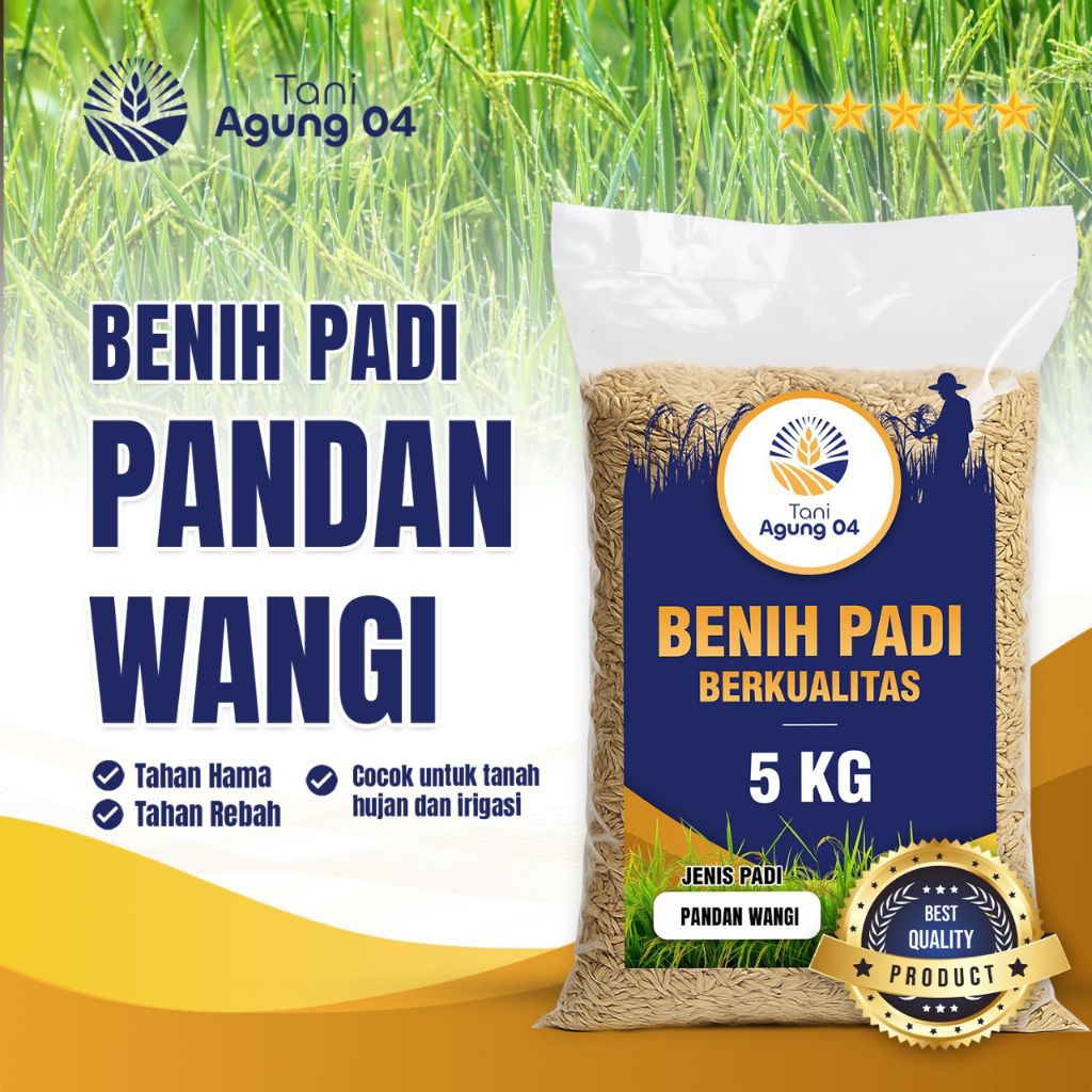 Bibit padi benih padi Pandan wangi kemasan 5 kg kualitas super premium