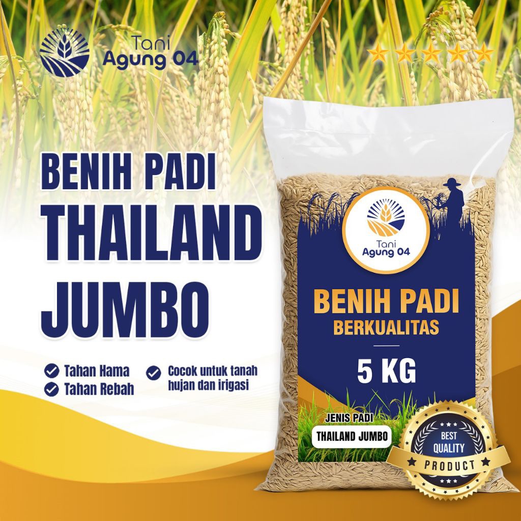 Bibit Padi Thailand Jumbo Kemasan 5 Kg Kualitas Super Premium