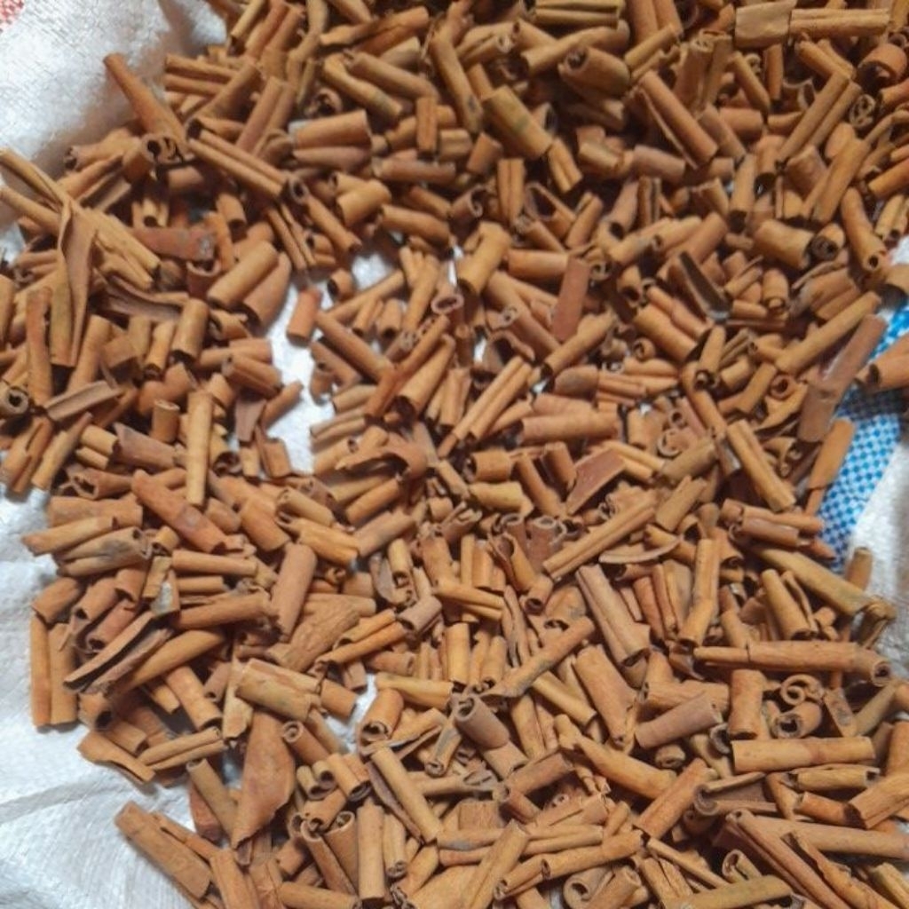 kulit kayu manis asli kerinci