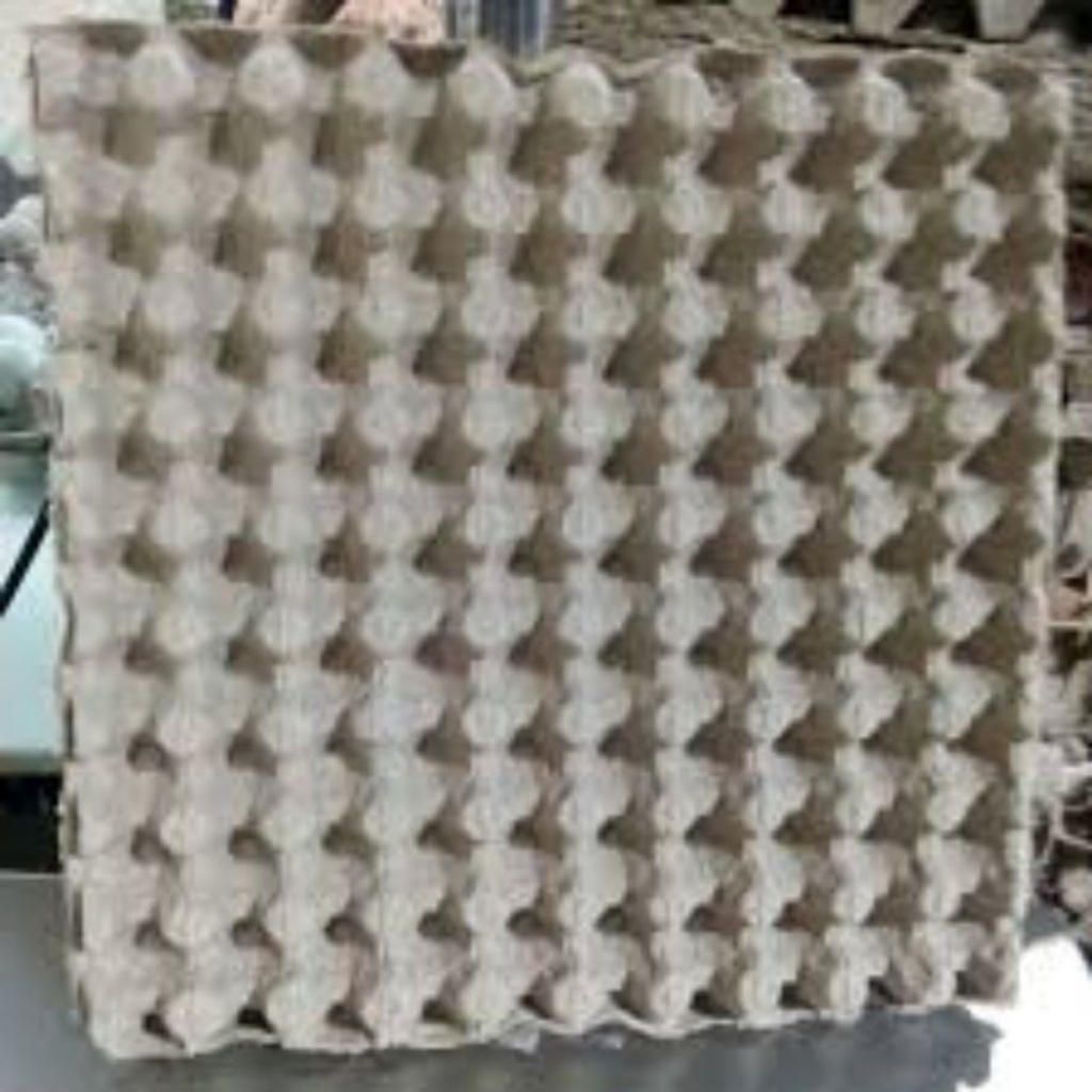 Tray telur puyuh per lembar / tempat telur puyuh karton harga / karton telur puyuh / egg tray puyuh