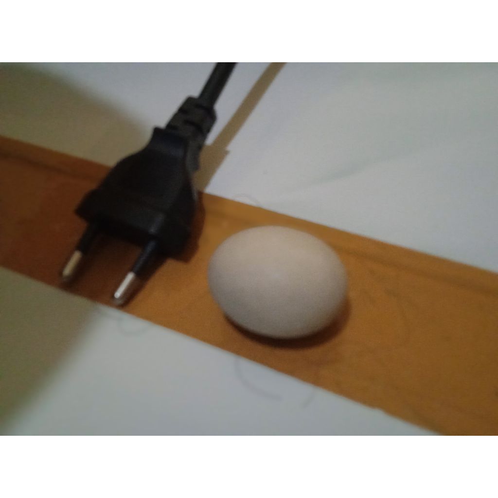 batu unik batu berbentuk telur