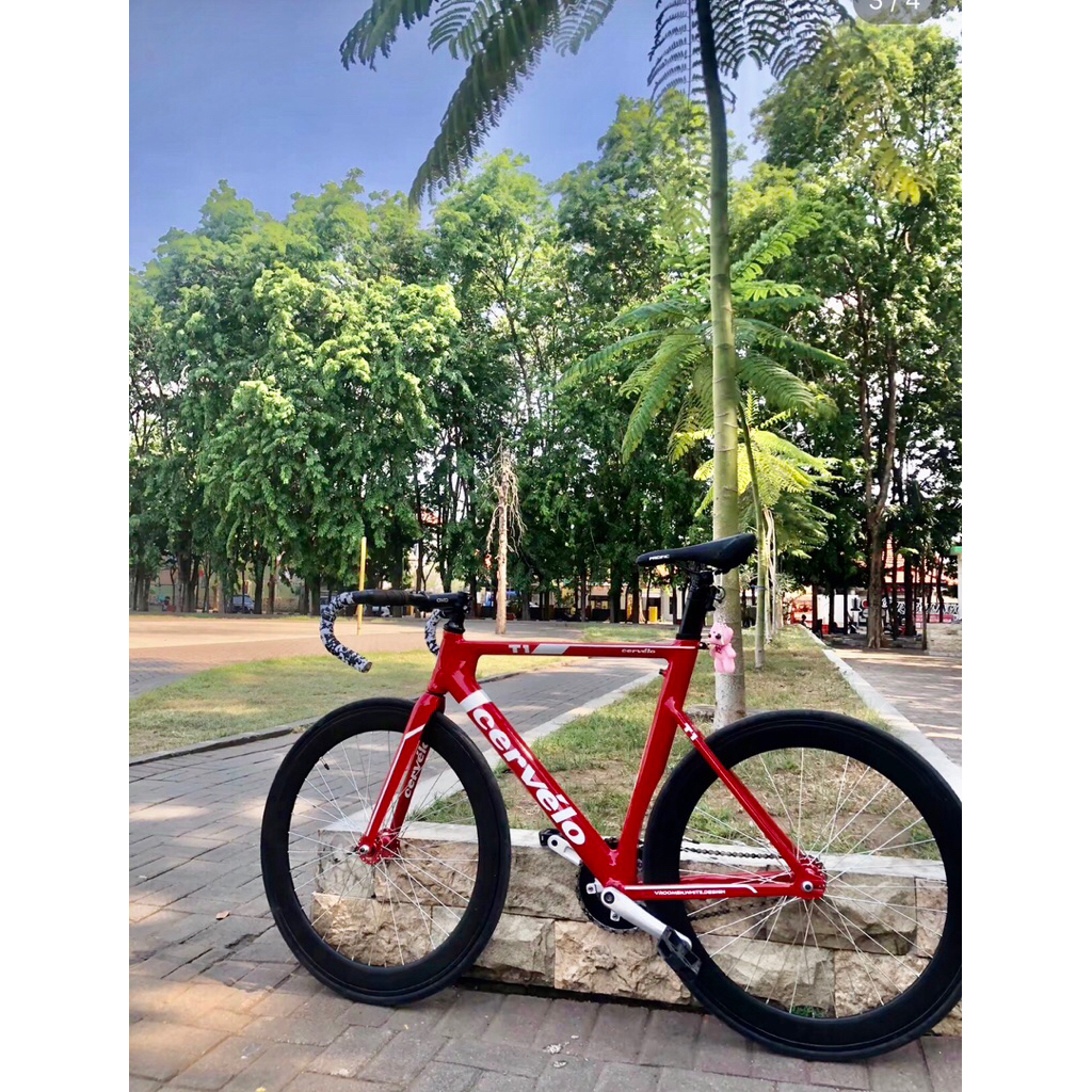 FIXED GEAR CERVELO T1 COSTUM