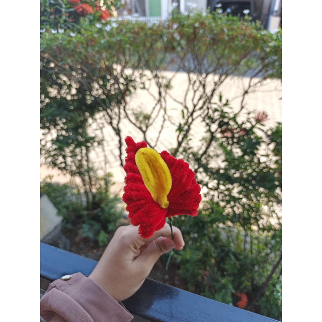 macam macam bunga kawat bulu