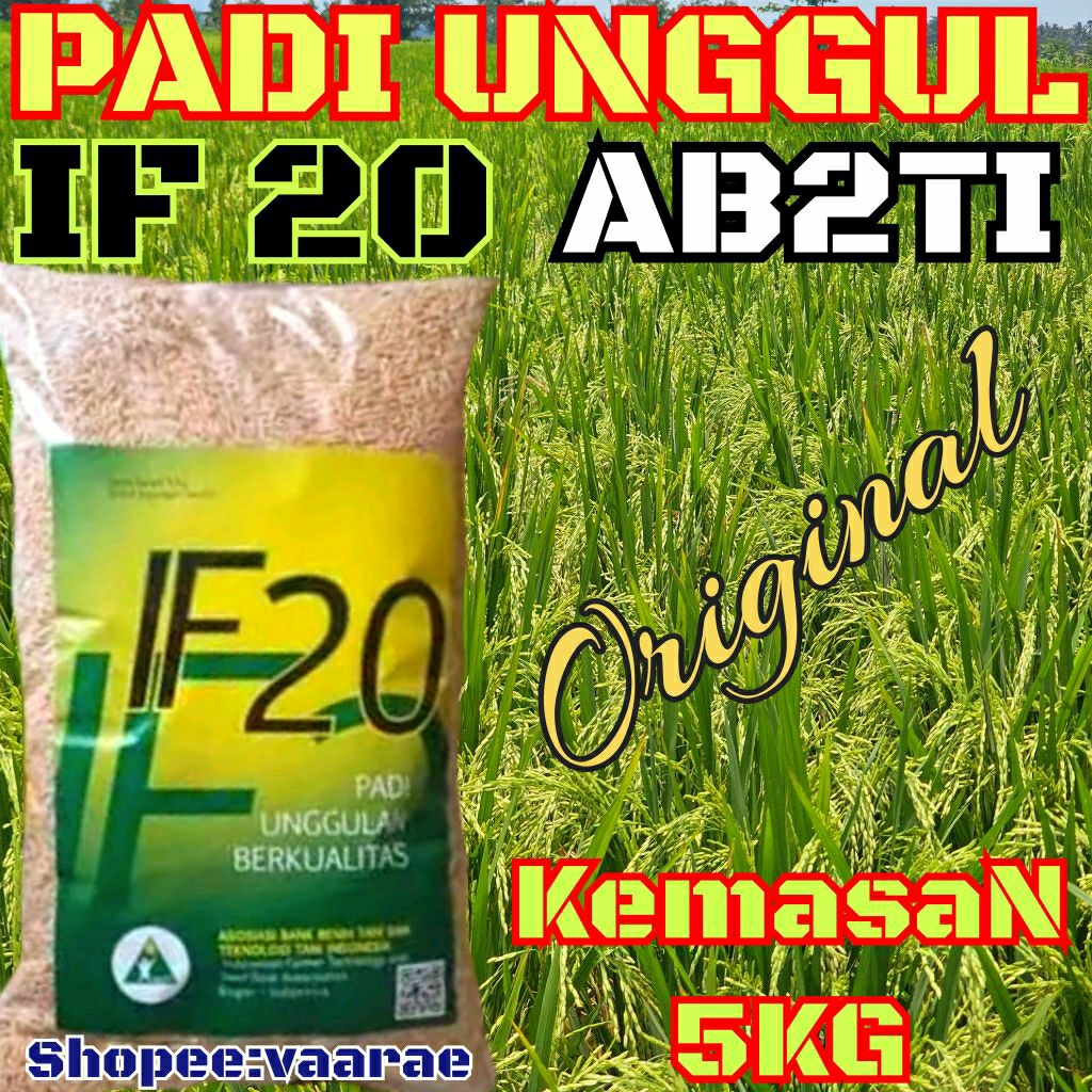 BENIH PADI UNGGUL IF20 ORI AB2TI KEMASAN 5KG