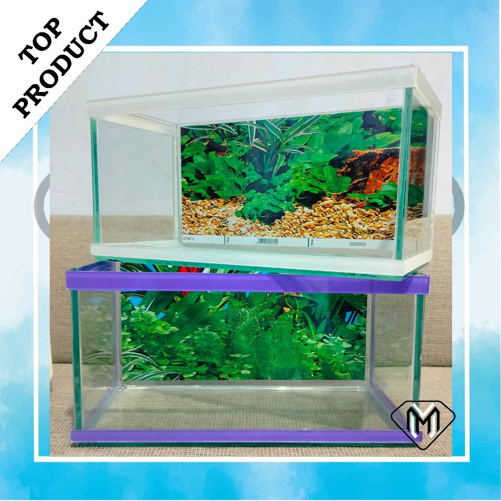 aquarium lengkap 1 set minimalis cocok untuk ikan