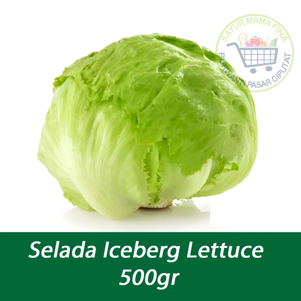 Letus Head Lettuce Fresh 500 gram
