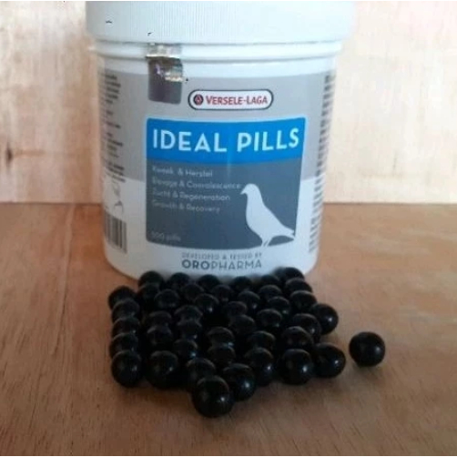 IDEAL VERSELE LAGA VITAMIN MASA ANGKREM / Versele Laga