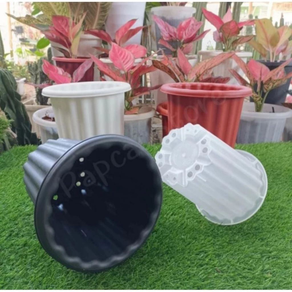 Pot Swiss 18 Warna, Pot Bunga Tinggi Model Yogap, Aglonema