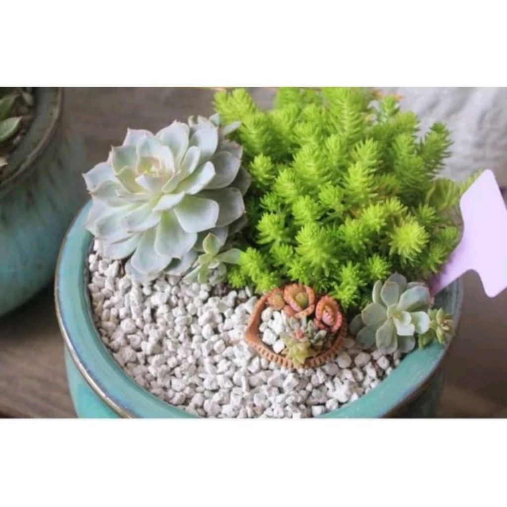 Batu Hias Warna Putih 200 gram, batu warna hiasan taman, batu aquarium, batu kerikil kaktus