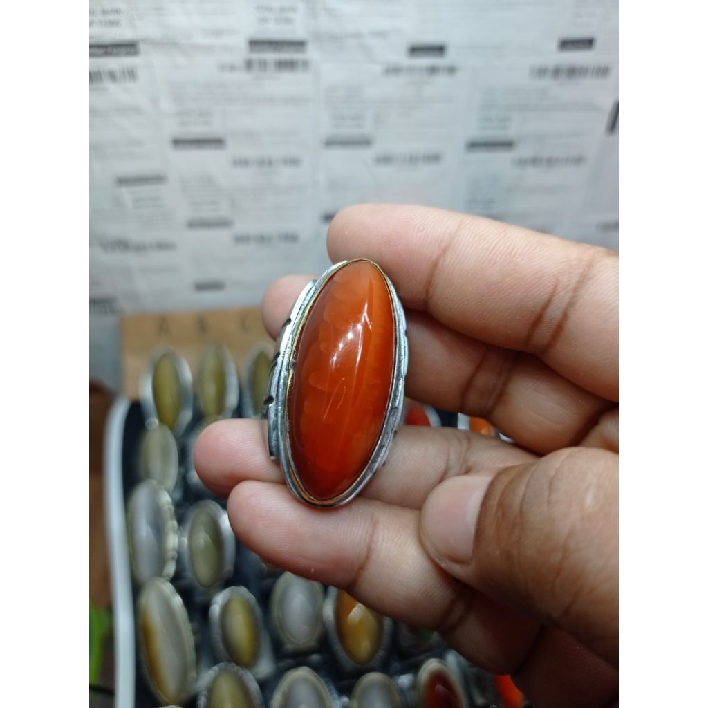 pandan merah sisik betok ring monel