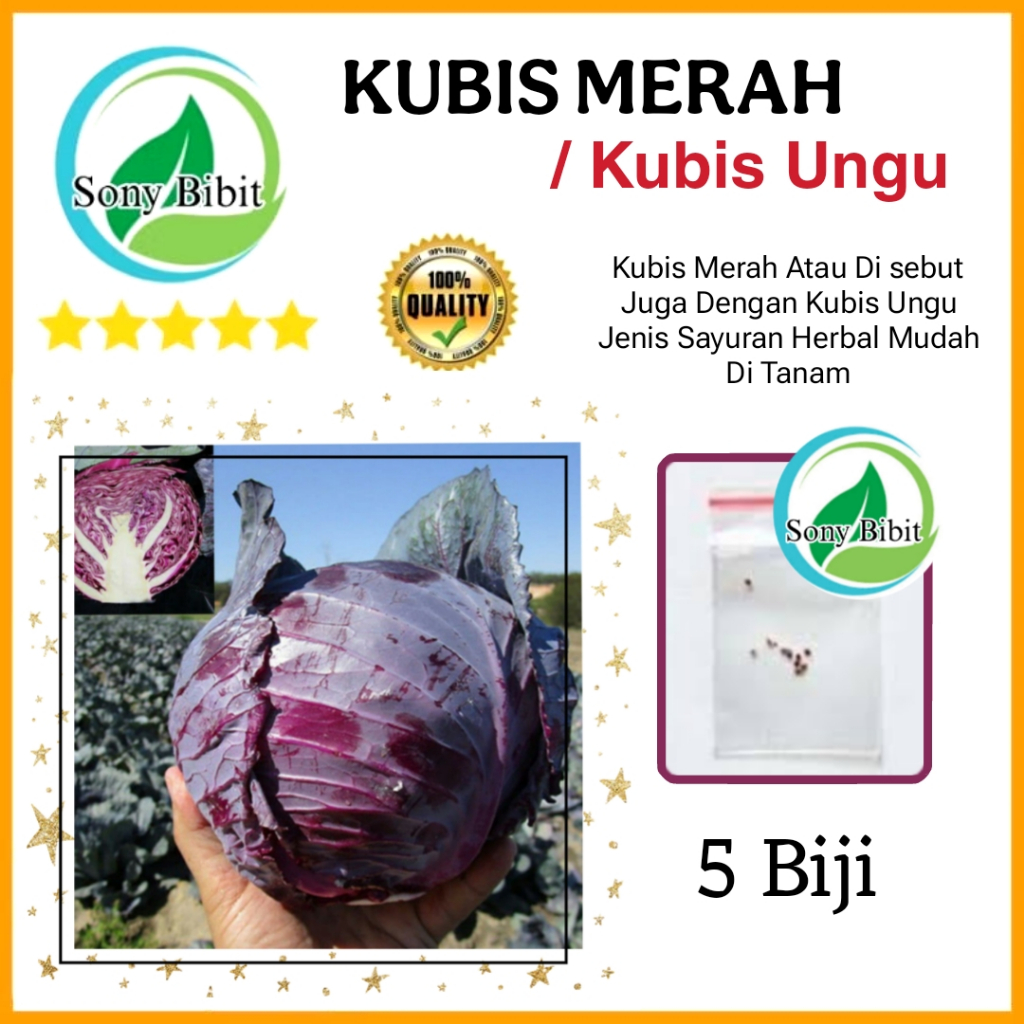 Benih Kubis Merah/ Kubis Ungu Benih Ekonomis