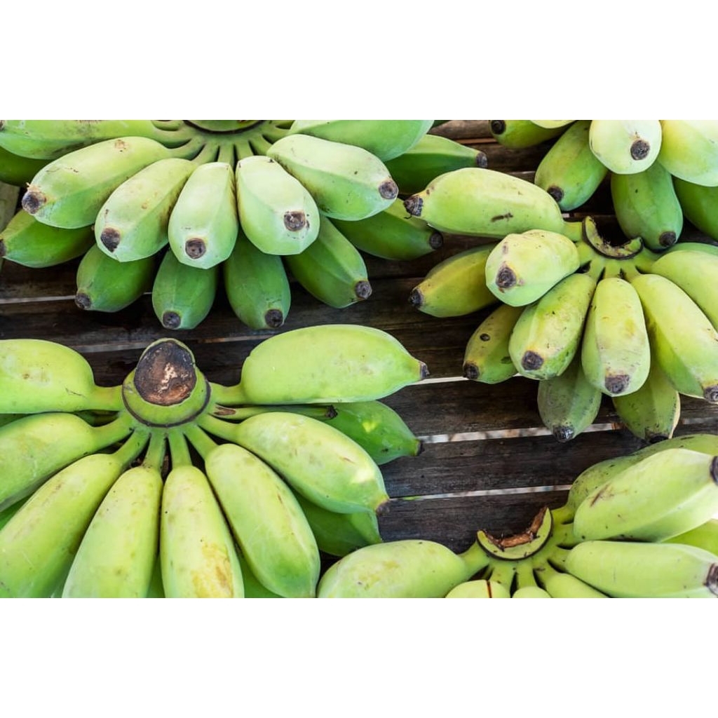 PISANG KEPOK 1 SISIR