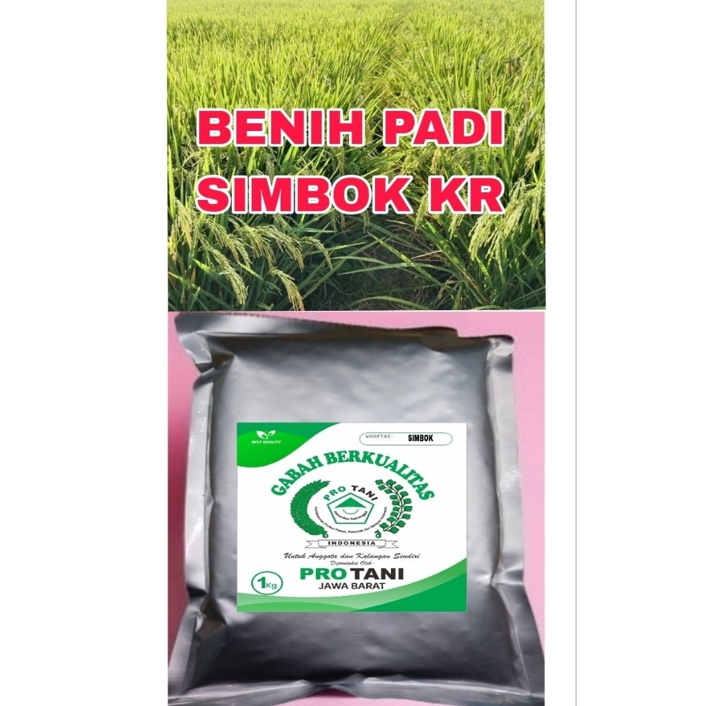 1KG BENIH PADI SIMBOK-GENJAH SUPER ORIGINAL BERKWALITAS LABEL PUTIH