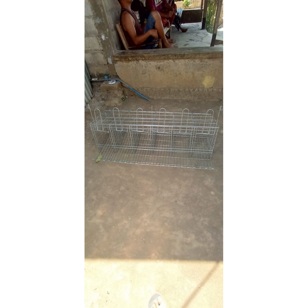Kandang Galvanis untuk  Ayam petelur