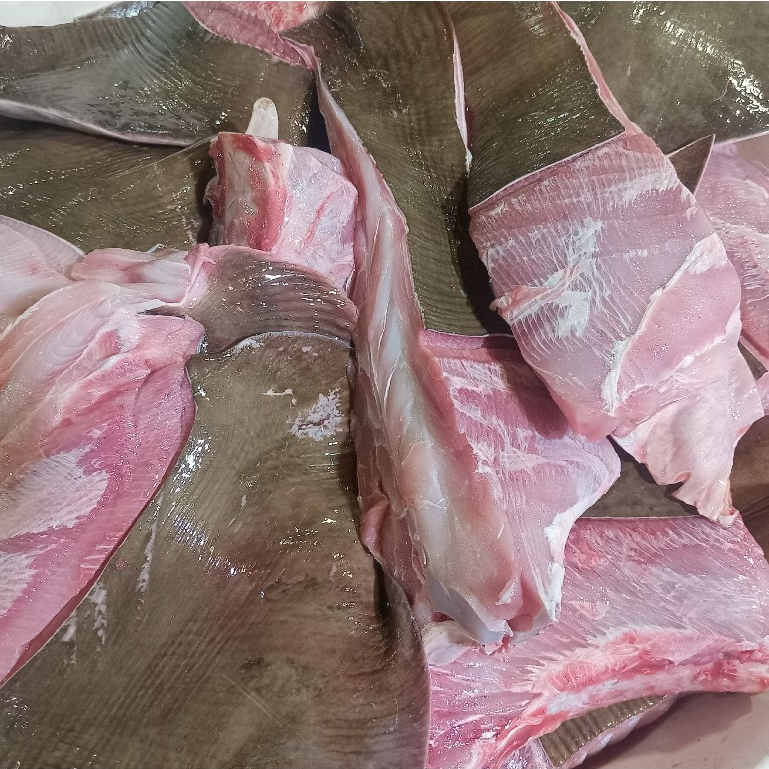 Ikan Pari 1Kg Ikan Pari Segar Ikan Pari Fillet