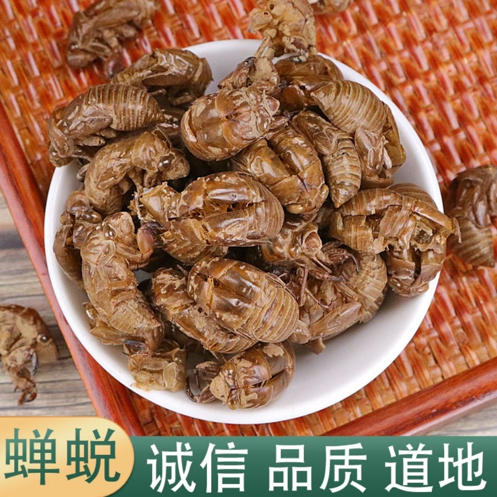 100gram 金蝉蜕 Jin Chan Tui Premium 金蝉衣 Jin Chan Yi / Cicada Slough