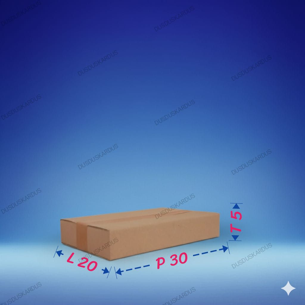 KARDUS | BOX | PACKING ( 30 x 20 x 5 )
