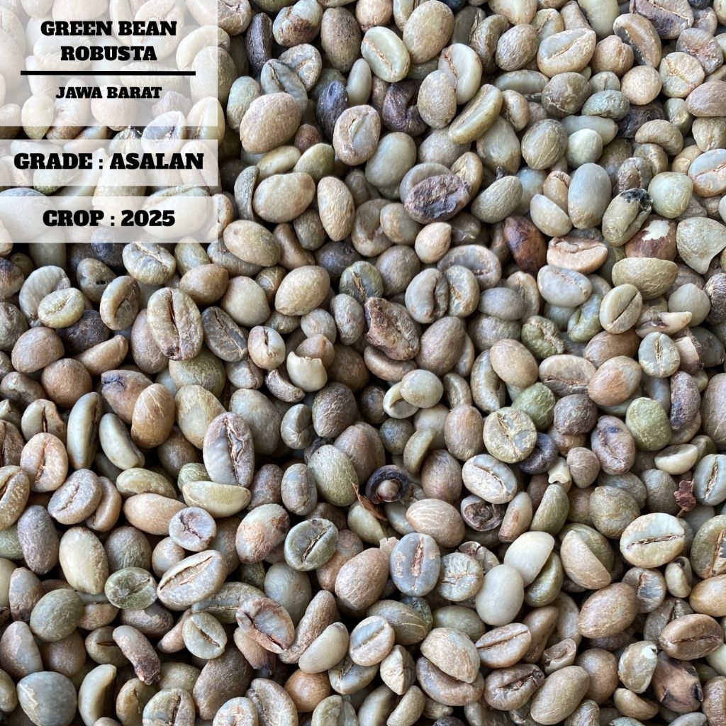 GREENBEAN ROBUSTA GARUT, JAWA BARAT GRADE ASALAN | biji kopi mentah