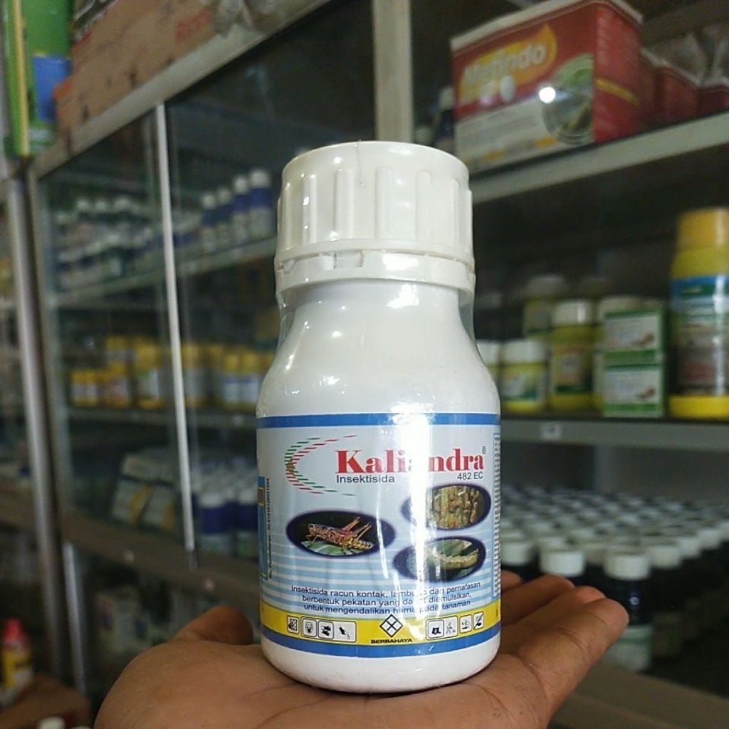 INSEKTISIDA   KALIANDRA OBAT HAMA BELALANG ULAT  CABUK