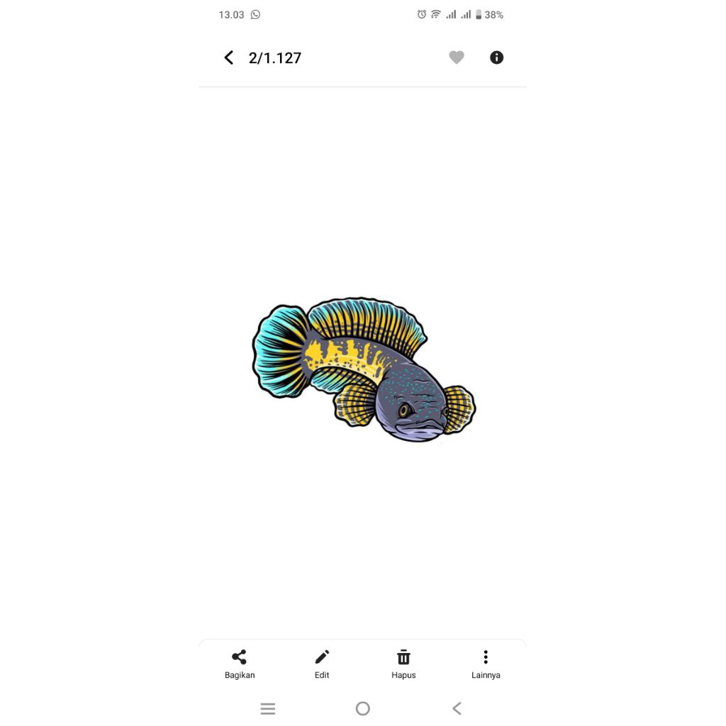 stiker auranti 16-17cm