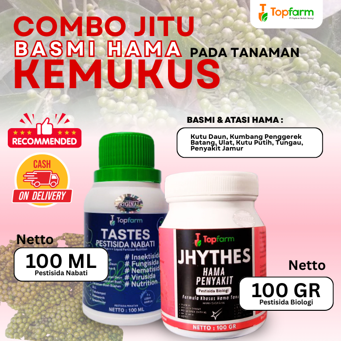 Insektisida Tanaman Kemukus / Obat Hama Tanaman Kemukus / Obat Pembasmi Hama Tanaman Kemukus / Obat 