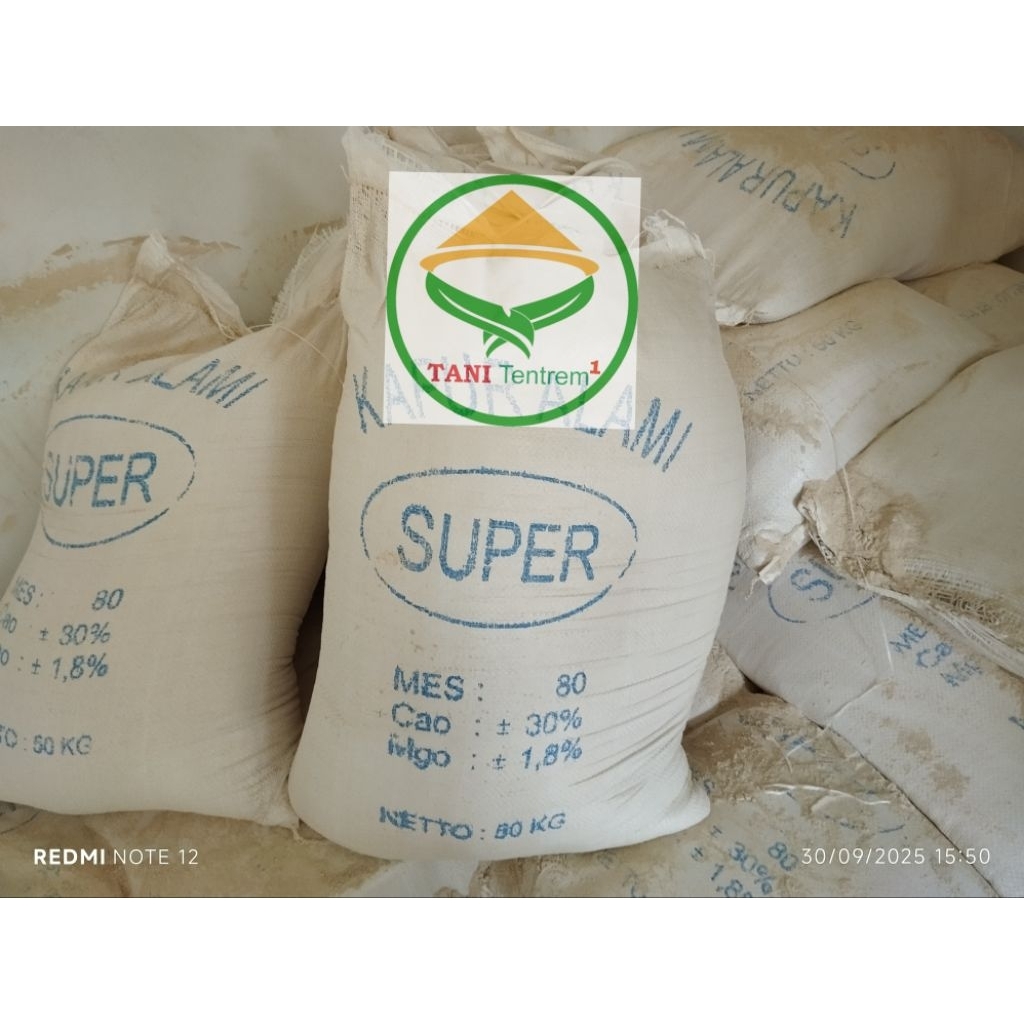 PUPUK KAPUR DOLOMITE 50KG KAPUR PERTANIAN PENETRAL TANAH DOLOMIT KUALITAS SUPER