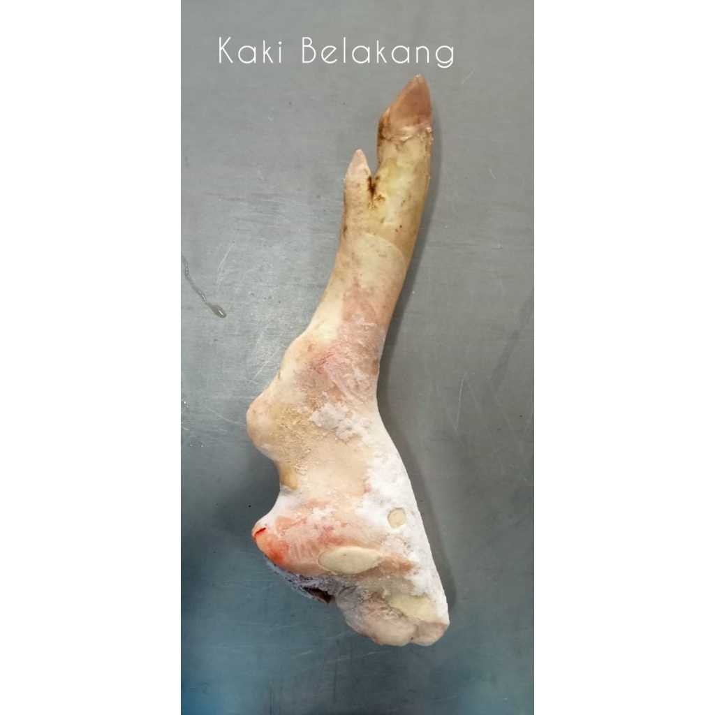 Kaki Babi 1kg