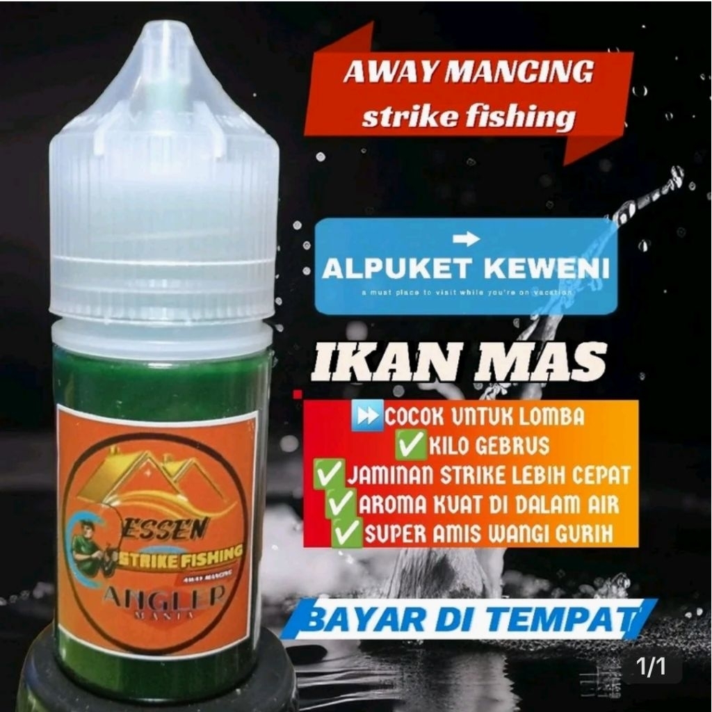 ESSEN IKAN MAS INDUK RAME