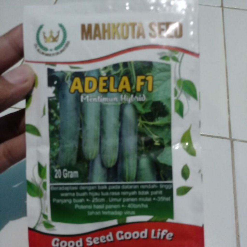 Timun Semi Hibrida Adella