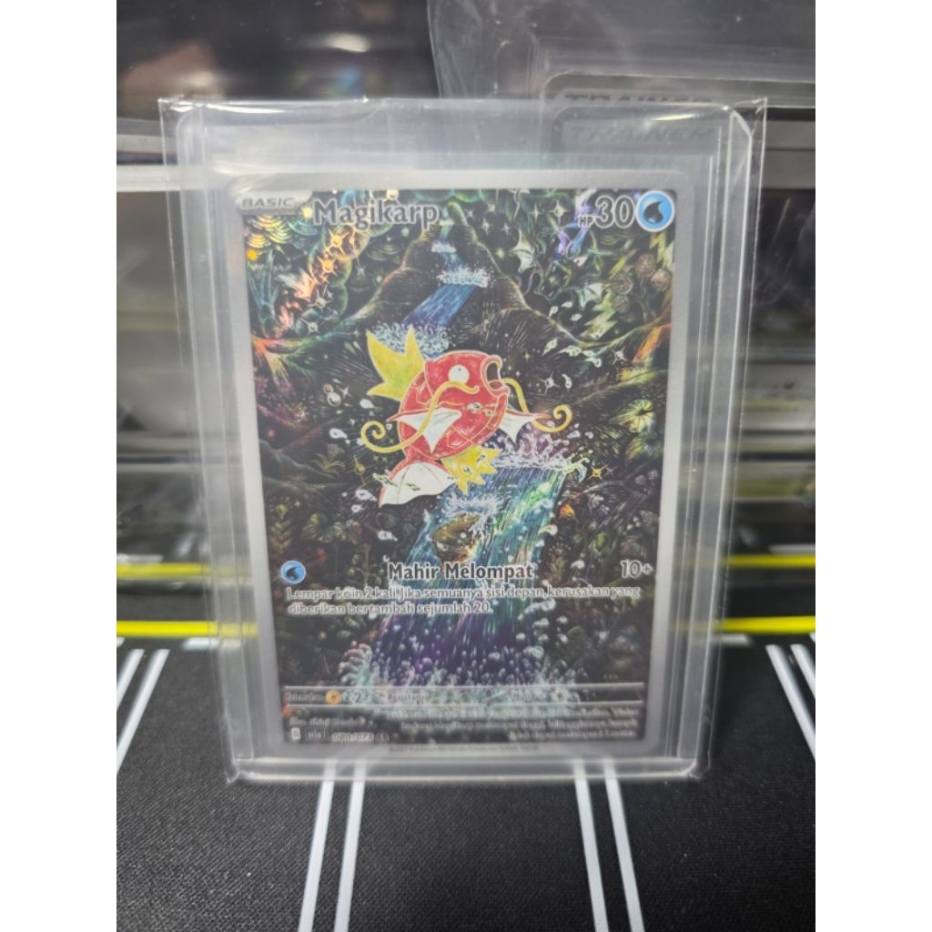 Magikarp AR/Pokemon Bahasa Indonesia/Pokemon Indonesia