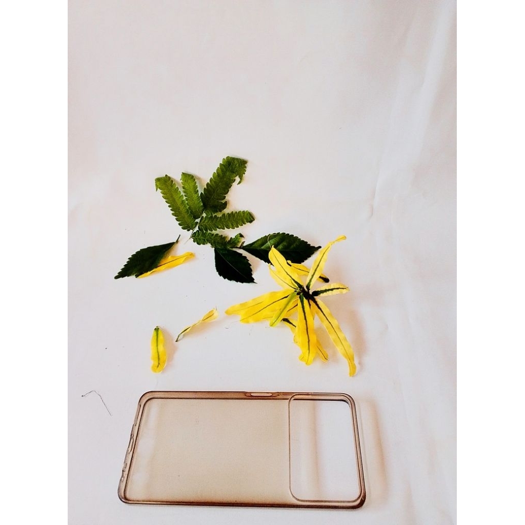 kesing hp Nubia a36.