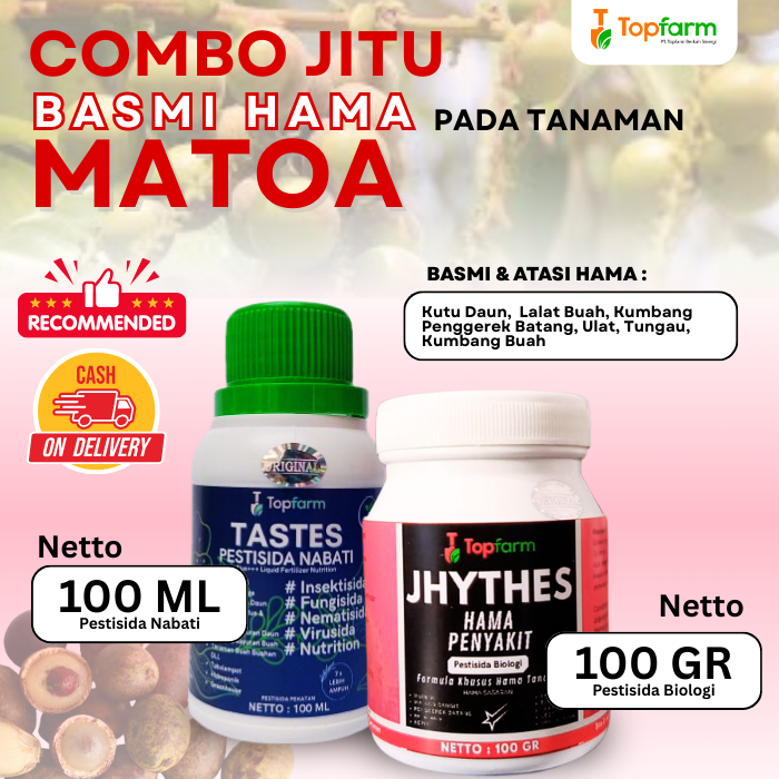 Insektisida Buah Matoa / Obat Hama Buah Matoa / Obat Hama Pembasmi Lalat Buah Tanaman Matoa / Obat H
