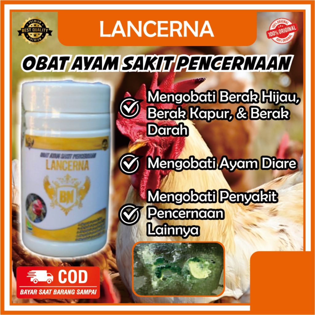 obat herbal LANCERNA untuk mengobati ayam diare berak hijau berak kapur berak putih berak cair koler