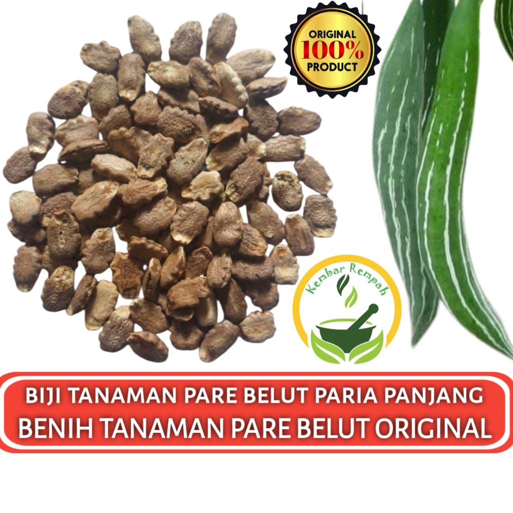 Biji Benih Pare Belut Paria Panjang Original