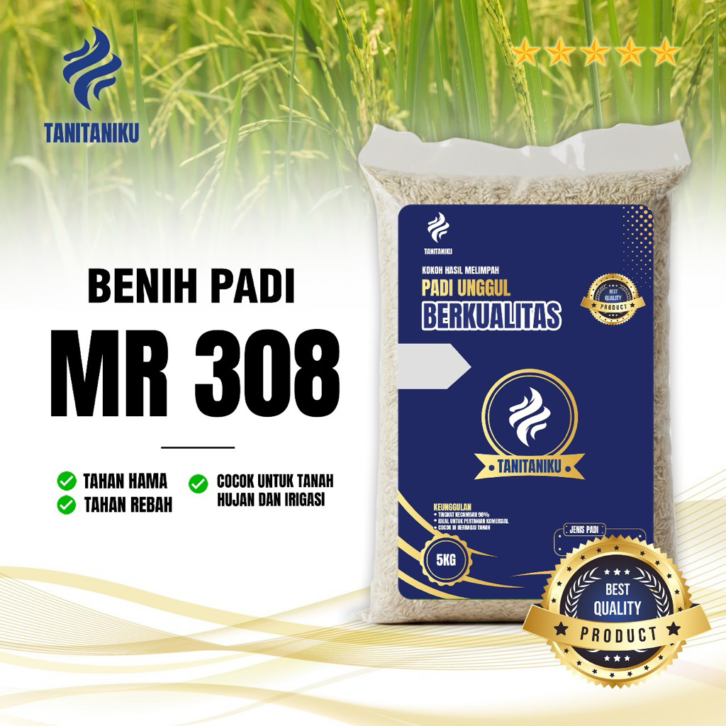 Benih padi bibit padi MR308 original kemasan 5 kg