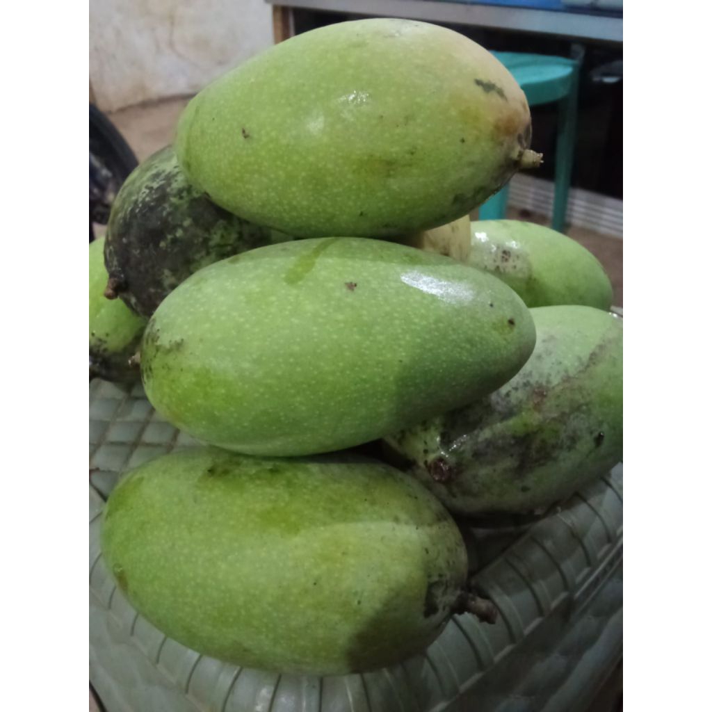 buah mangga madu manalagi 1kg