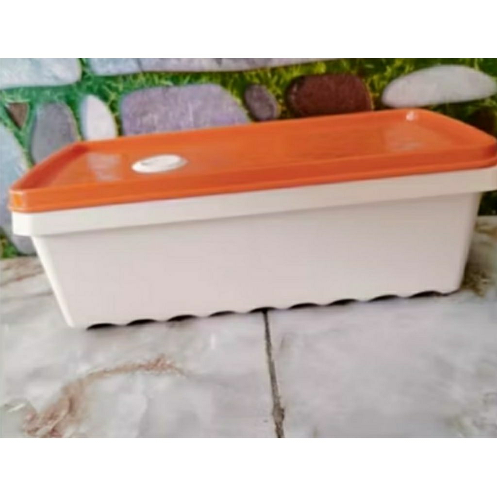 tempat makanan frozen food